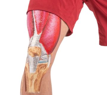 مینیسک زانو